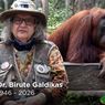 Konservasionis Orangutan Birute Galdikas Meninggal, Ingin Dimakamkan di Kalteng