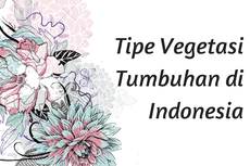 Tipe Vegetasi Tumbuhan di Indonesia
