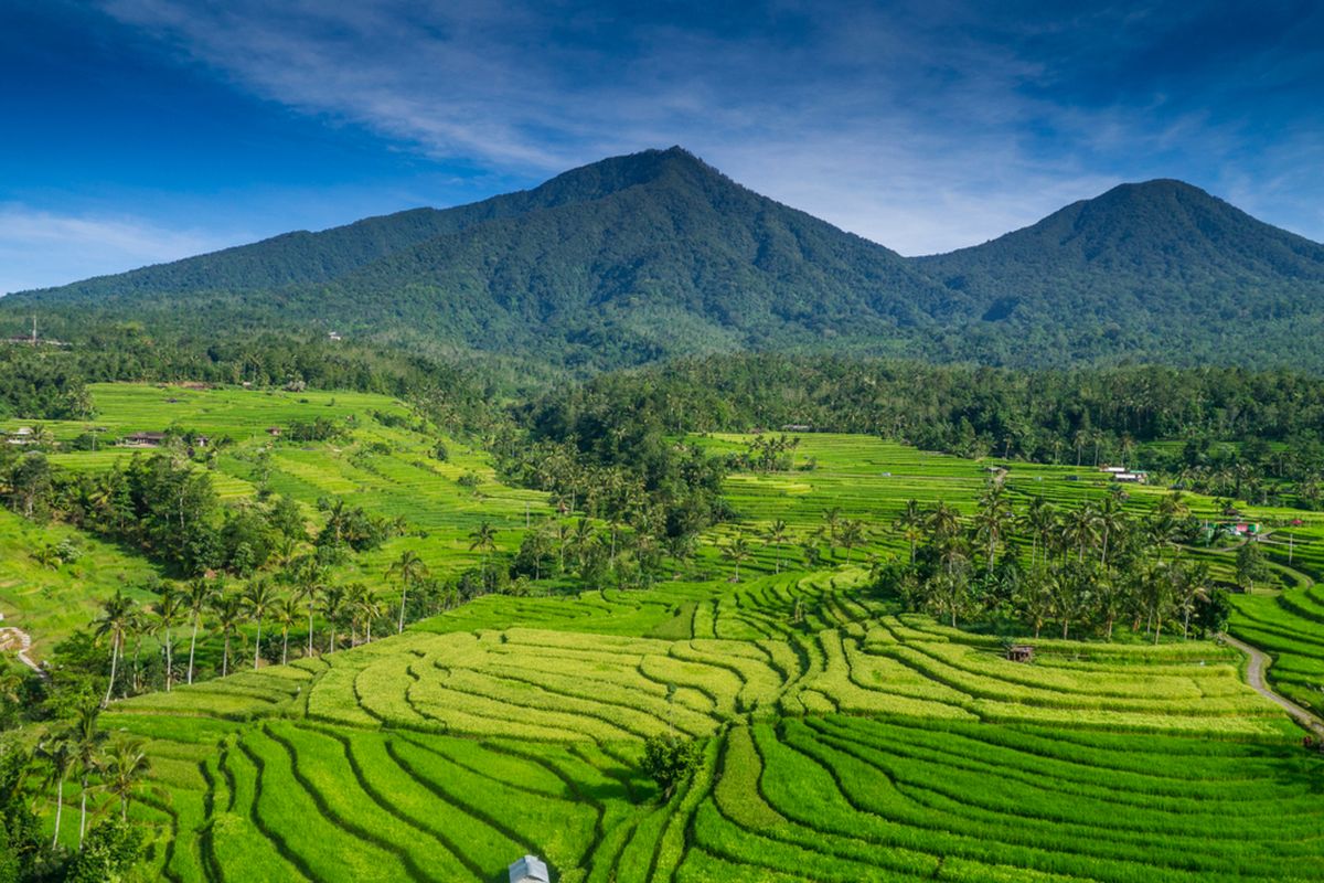 An illustration of the Balinese village of Jatiluwih. 