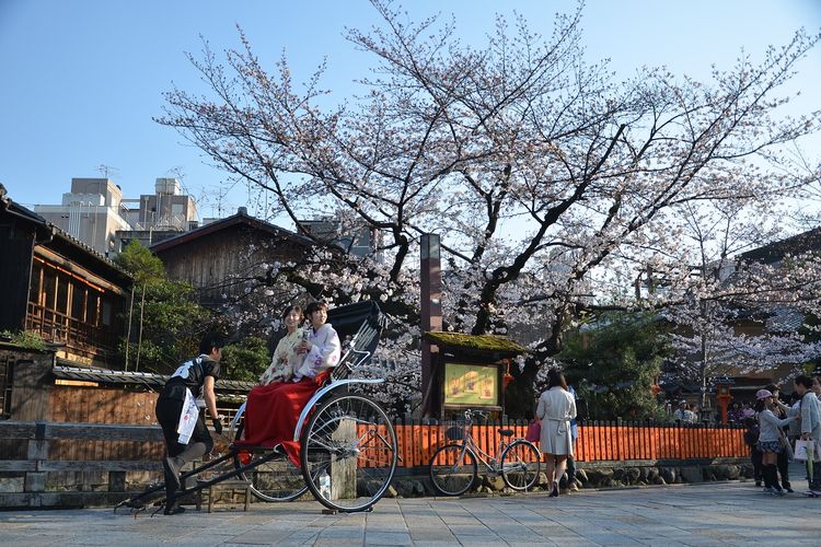Kyoto adalah kota romantis di Jepang yang memiliki taman-taman indah dengan pemandangan bunga sakura yang cantik pada saat musim semi.