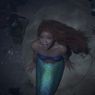 Halle Bailey Menangis Seharian Saat Dikabari Dapat Peran Ariel dalam The Little Mermaid