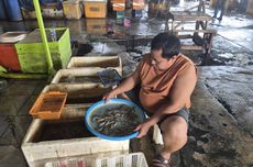 Hasil Betis Vs Barcelona 3-5: Torres Hattrick, Blaugrana Nyaman di Puncak