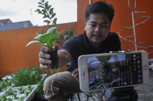 Antisipasi Pandemi Berkepanjangan, Kolinlamil Siapkan Langkah Kelangkaan Pangan