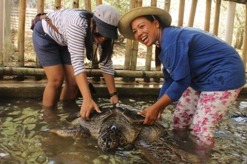 Pulau Penyu Bali: Daya Tarik, Harga Tiket, Jam Buka, dan Rute