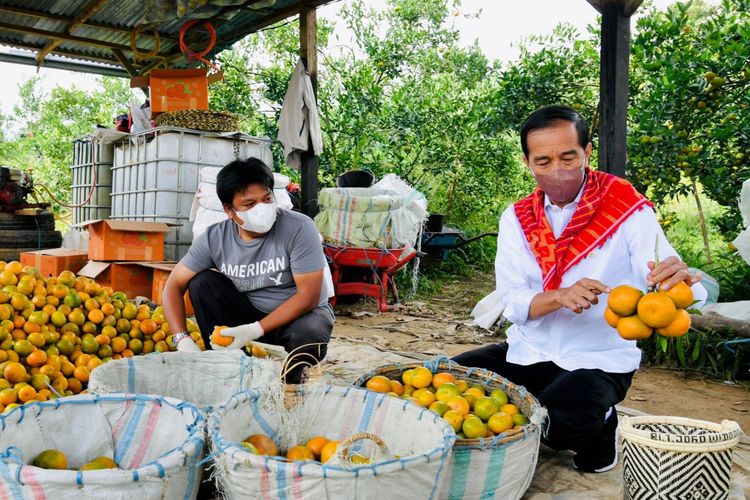 Presiden Joko Widodo meninjau Kampung Jeruk, Liang Melas Datas, Kabupaten Karo, Provinsi Sumatera Utara, pada Jumat, 4 Februari 2022.