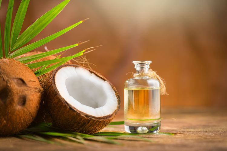 Ilustrasi minyak kelapa, virgin coconut oil (VCO). Beberapa minyak menawarkan manfaat untuk merawat kecantikan kulit, seperti minyak kelapa, minyak zaitun, dan minyak biji bunga matahari.