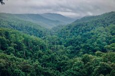 Hilang 7 Hari di Hutan Konawe Utara, Pekerja Pertambangan Ditemukan Selamat