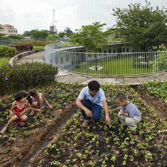 Dalam rangka menjaga dan menjalin hubungan yang lebih dalam dengan lingkungan alam, TK Pertanian memiliki konsep sebagai gedung hijau yang berkelanjutan, menyediakan makanan dan pengalaman pertanian untuk anak-anak, serta taman bermain yang luas.