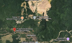 10 Negara dengan Deforestasi Terbesar di Dunia, Ada Indonesia