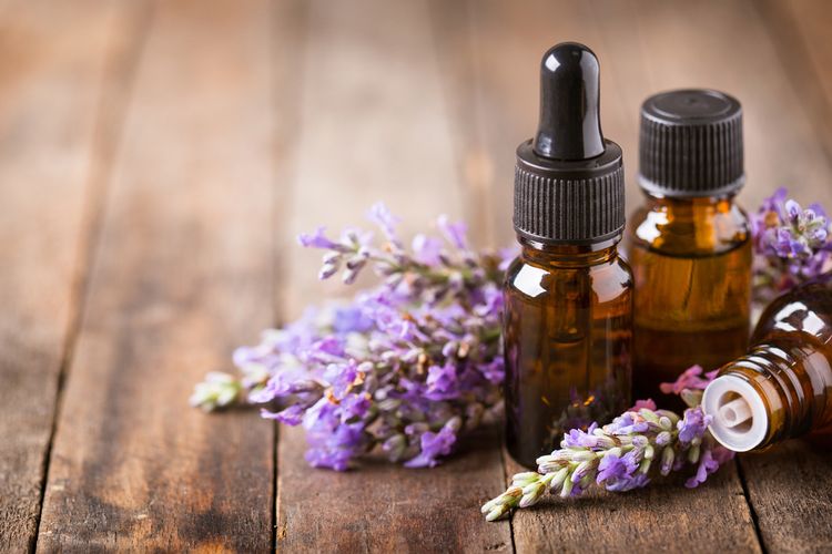 Lavender dapat membagikan molekul yang dapat membuat tubuh rileks dan pikiran lebih tenang sehingga membantu mengatasi masalah susah tidur.