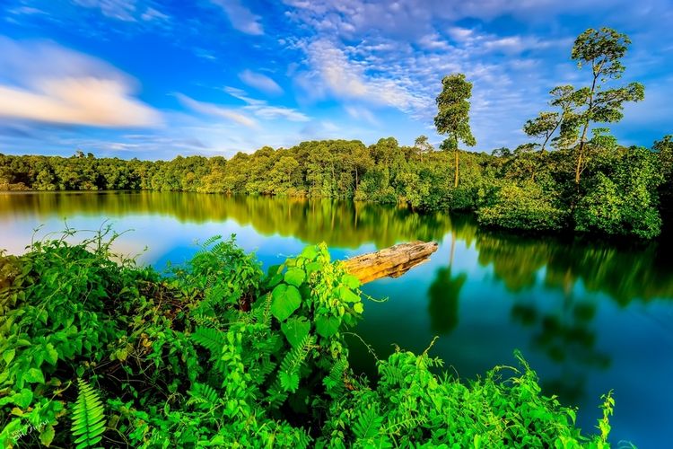 6 Tempat Wisata Indonesia yang Pernah Dikunjungi Artis Hollywood dan Tokoh Dunia