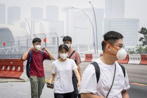Singapura Surati 7 Perusahaan terkait Karhutla RI, Ini Temuannya...