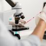 Tes DNA: Prosedur, Biaya, Syarat, dan Pilihan Pemeriksaan