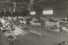 Flu 1918, Membunuh Satu Generasi dan Ubah Dunia Abad Ke-20