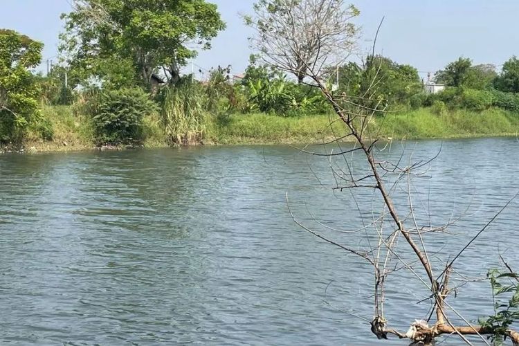 Sungai Ciujung di Serang Kembali Hitam dan Bau Menyengat, DLHK Banten Telusuri Sumber Pencemaran