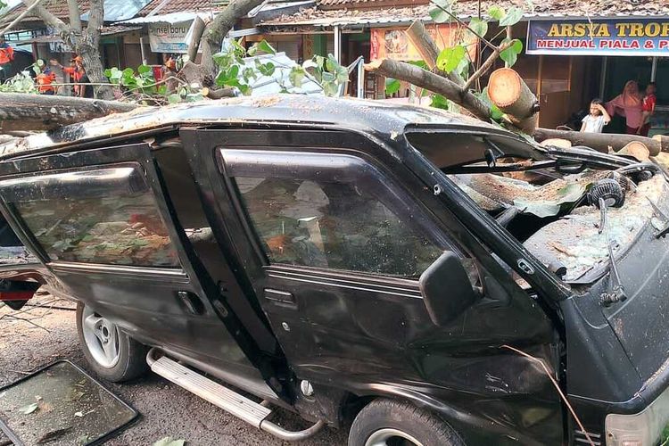 Proses evakuasi pohon tumbang yang terjadi di wilayah Narmada, Lombok Barat, Kamis (9/11/2023). Pohon tumbang akibat hujan deras.