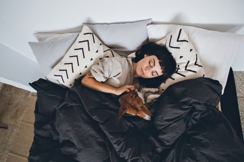 Sering Tidur Malam Bersama Anjing, Apa Efeknya pada Tubuh?