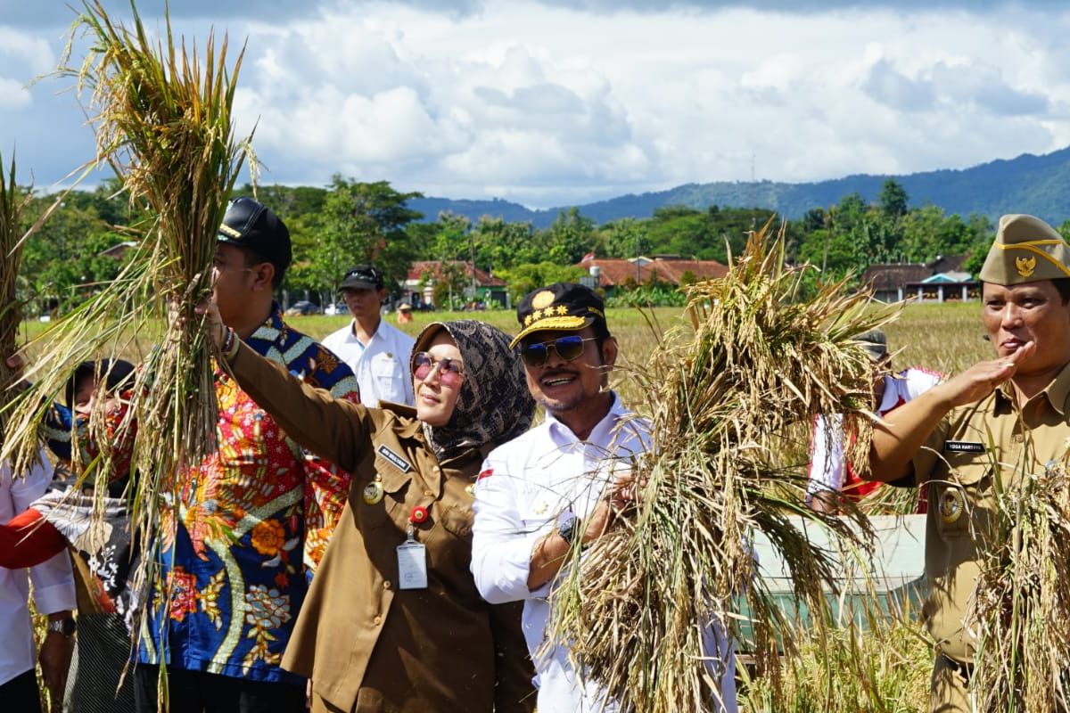 Menteri Pertanian Syahrul Yasin Limpo (Mentan SYL) bersama Bupati Klaten Sri Mulyani bersama jajaran Kementerian Pertanian (Kementan) dan Pemerintah Kabupaten (Pemkab) Klaten berfoto bersama saat menggelar panen raya padi di Desa Kalikebo, Kecamatan Trucuk, Kabupaten Klaten, Jawa Tengah, Senin (10/4/2023).