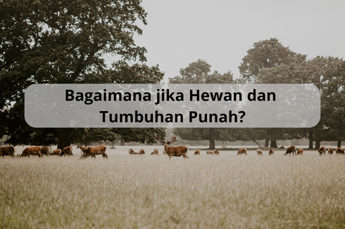 Bagaimana jika Hewan dan Tumbuhan Punah?