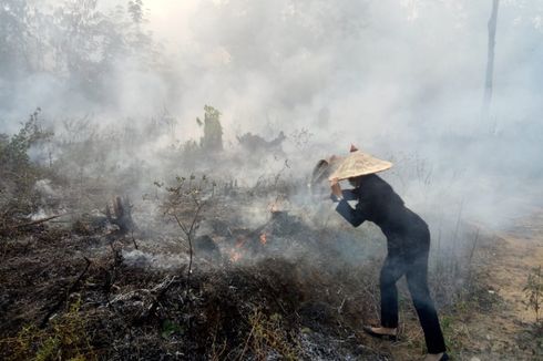 Jokowi: Kebakaran Hutan Turun Lebih dari 85 Persen Dibanding 2017