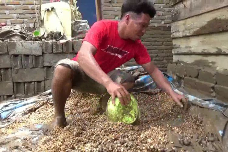 Petani Merugi, Puluhan Karung Jagung Hasil Panennya Hanyut Terseret Banjir Bandang