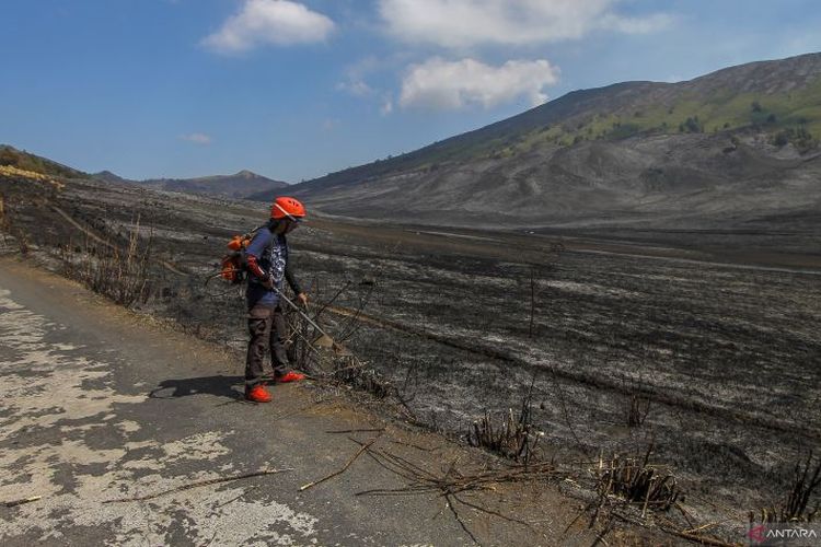 Relawan melakukan penyisiran di area kebakaran hutan dan lahan Gunung Bromo di Probolinggo, Jawa Timur, Jumat (15/9/2023). Penyisiran yang dilakukan melalui udara dan darat oleh tim gabungan BB TNBTS, BPBD, TNI, Polri, relawan, dan masyarakat setempat tersebut untuk mengendalikan sisa kebakaran agar tidak meluas. ANTARA FOTO/Muhammad Mada/wsj.
