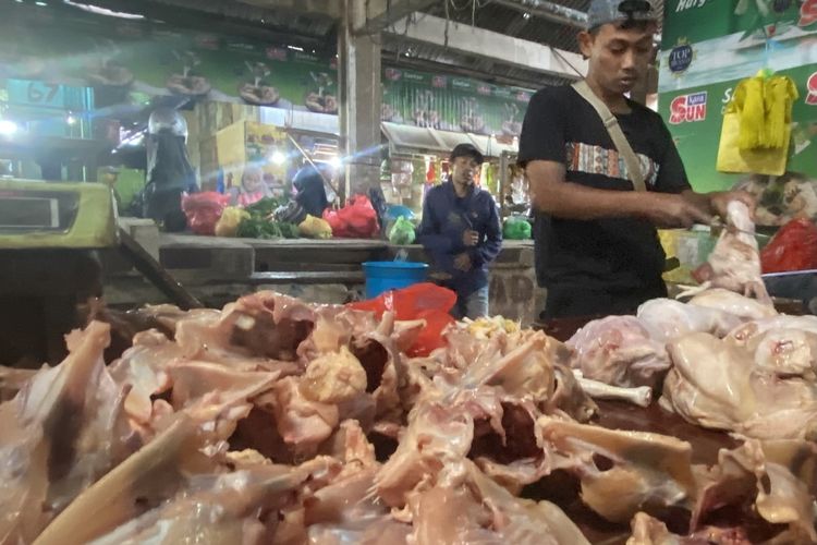 Harga Ayam Tembus Rp 40.000 per Ekor, Pedagang di Bandar Lampung Kelimpungan