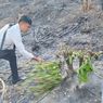 Kebakaran Hutan di Bukit Dekat Sirkuit Mandalika Berhasil Dipadamkan