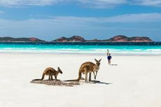 Berapa Biaya Liburan ke Australia Barat?