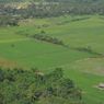 Tanah Subur Indonesia Terancam Konversi Lahan