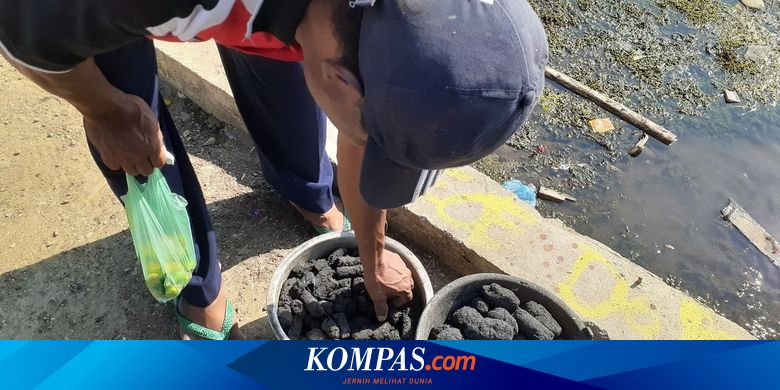 Melihat Manfaat Kulit Batang Sagu, Dibuat Menjadi Briket Arang di Kampung Abar Jayapura