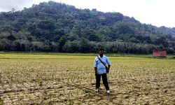 Alsintan Bantu Petani Karangasem Tingkatkan Produktivitas