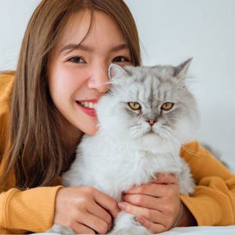 ilustrasi kucing dan pemiliknya