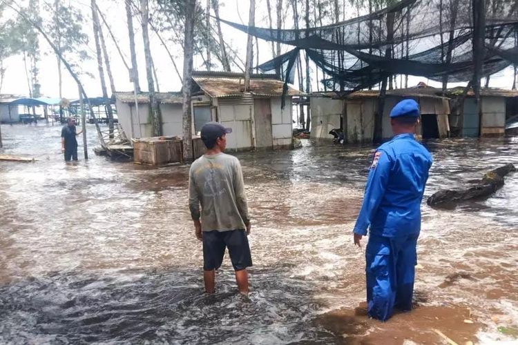 Banjir rob di pantai selatan Jember merusak puluhan warung pada Kamis (14/3/2024)