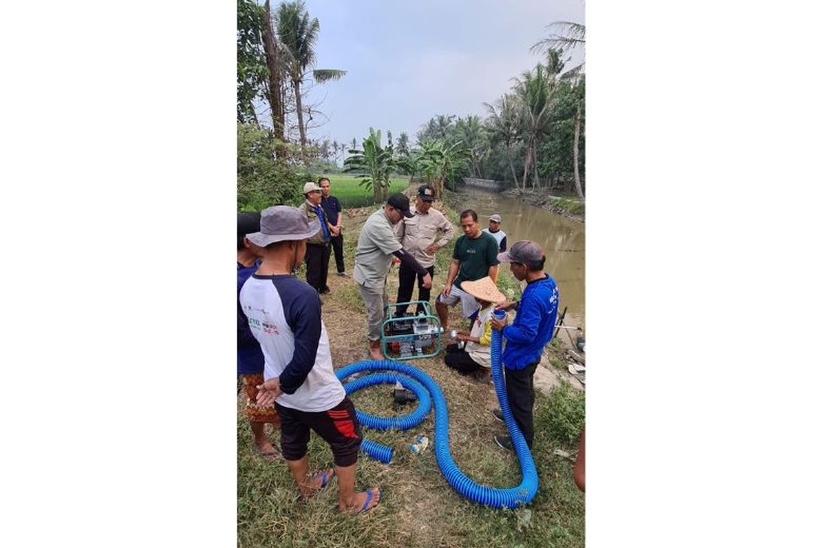 Kementerian Pertanian mendistribusikan bantuan sebanyak 5 pompa air 3 inci untuk 5 kelompok tani (poktan) yang dilanda kekeringan di Desa Pasir dan Pagedangan, Kecamatan Kronjo, Kabupaten Tangerang, Sabtu (24/8/2024).