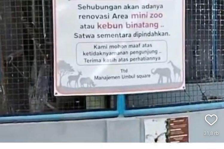 Viral Pengunjung Madiun Umbul Square Kecewa, Bayar Tiket Rp 20.000 Cuma Lihat Sedikit Satwa