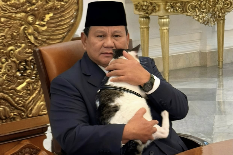 Presiden Prabowo Subianto menggendong kucing kesayangannya, Bobby Kertanegara. Prabowo ulang tahun ke-74