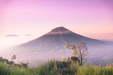 Gunung Sumbing Terbakar, Puluhan Pendaki Dievakuasi