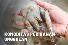 5 Komoditas Perikanan Unggulan 