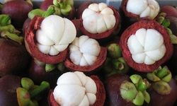 Kirim Manggis ke China, Kenaikan Nilai Ekspor Manggis Indonesia Naik