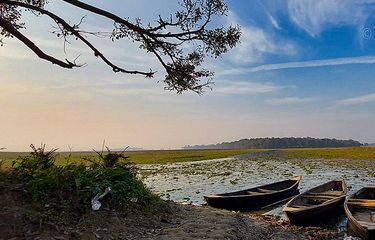 Danau Kanwar di Begusarai