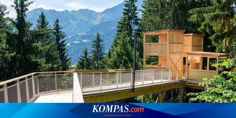Jalan Setapak Terpanjang Dunia di Puncak Pohon Ada di Swiss - Vimarsana News