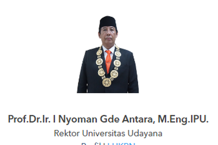 Rektor Universitas Udayana (Unud) Prof I Nyoman Gde Antara