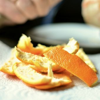 Ilustrasi kulit jeruk