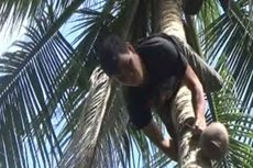 Pria Tunanetra Ini Bisa Memanjat Pohon Kelapa dengan Posisi Terbalik