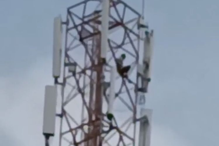 Remaja yang Terjun dari Tower BTS 100 Meter di Bangkalan Diduga Depresi 