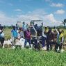 Dengan Alsintan, Petani Nabire Bisa Panen Raya di Tengah Pandemi