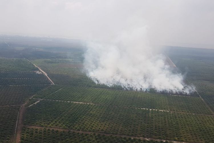 Titik api yang ditemukan tim satgas karhutla riau di dumai yang disebabkan kebakaran lahan