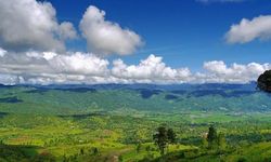 Penggunaan Kawasan Hutan yang Disalahartikan