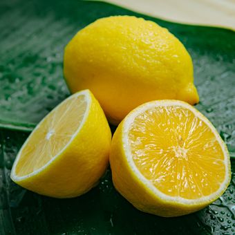 Meminum perasan lemon mungkin terasa tidak nyaman dan akan keras untuk perut kita, jadi cobalah mencampurkannya dengan air panas, menjadikannya teh herbal untuk batuk.